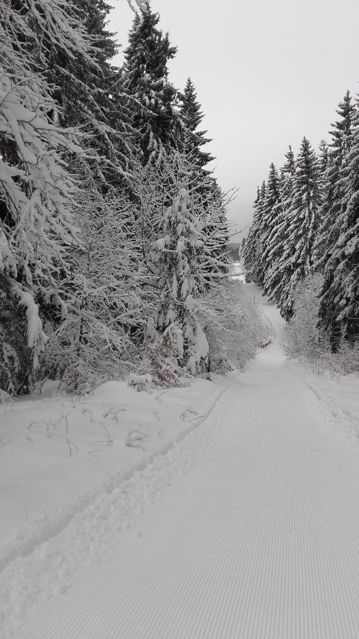 Apartamento Haus Tippe Braunlage Exterior foto